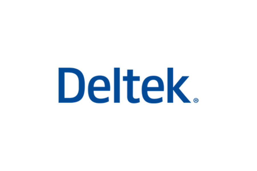 Deltek Vision