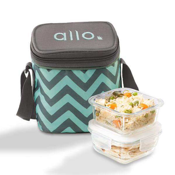 Allo Food Safe Borosilicate Glass Lunch Box, 450C Microwave Safe Lunch Box, Borosilicate Borosilicate Glass Tiffin for Office with Chevron Mint Tiffin Bag, Set of 2, 320ml x 2, Square, Transparent
