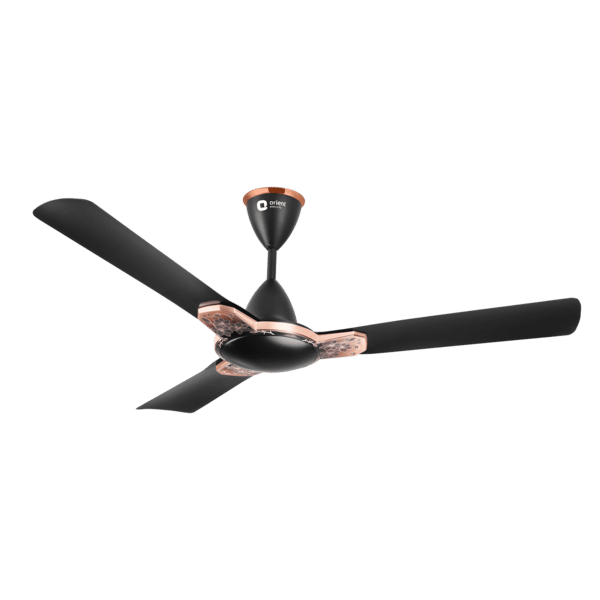 Orient Electric Mozart Nature Designer Ceiling Fan Floral (Black)