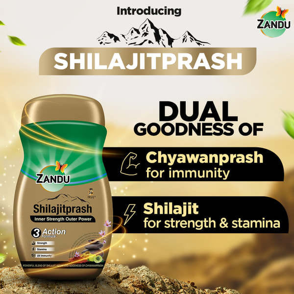 Zandu Shilajitprash – Chyawanprash with Shilajit for Immunity, Strength & Stamina (900g)